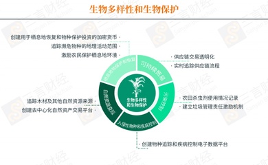 开发有效的区块链解决方案